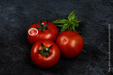 Tomate Gusto