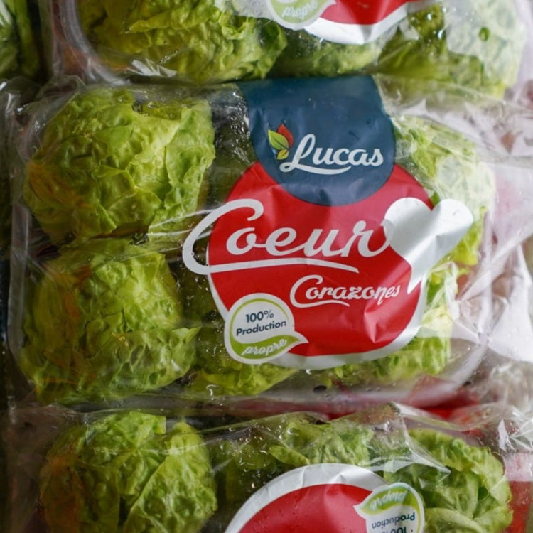 Salade Sucrine (Coeur De Laitue)