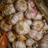 Ail rose Frais