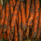 Carotte Sable 🥕