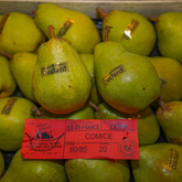 Poire 🍐 Comice