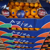 Orange Maltaise De Tunisie 🥇