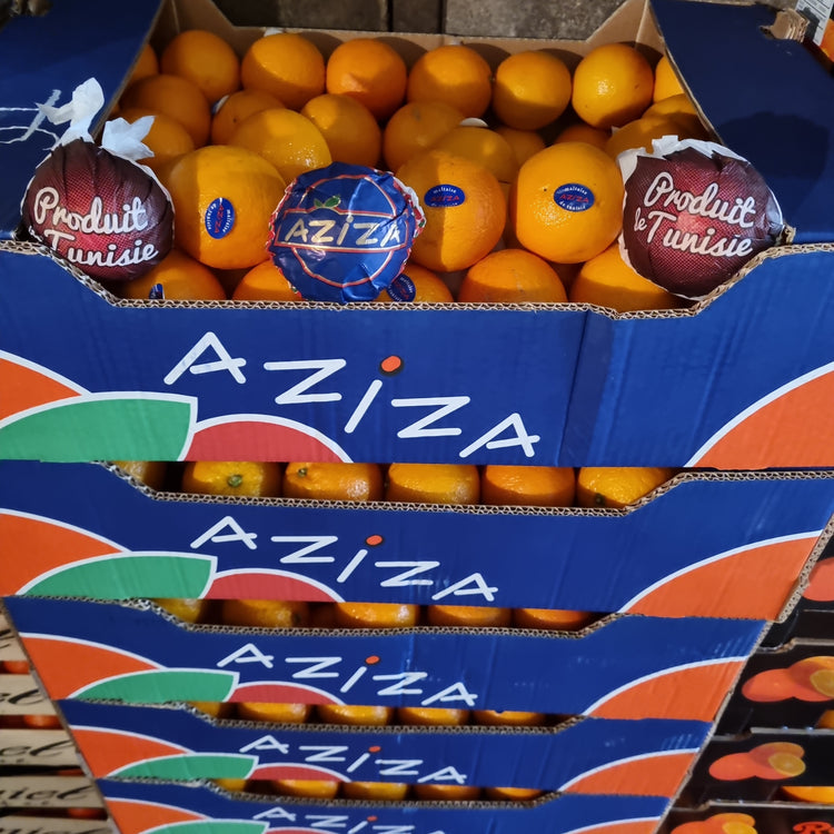 Orange Maltaise De Tunisie 🥇