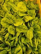 Salade Pousse D' Epinard