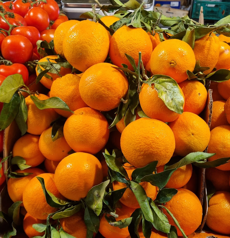 Orange sanguine Sicilienne non traité 🍊
