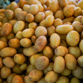 Pomme De Terre Nouvelle Grenailles