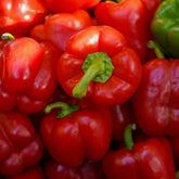 Poivron rouge