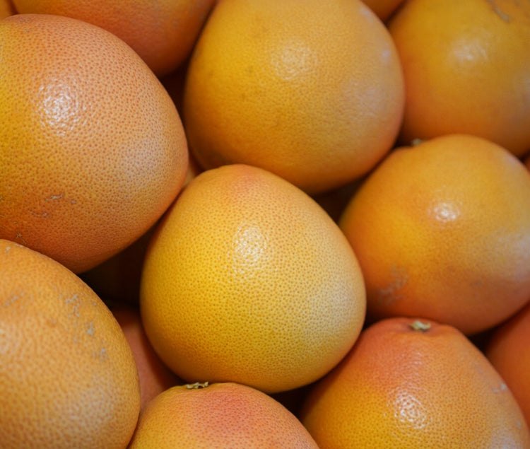 Pamplemousse d'Afrique du sud