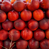 Nectarine Blanche (Brugnon)