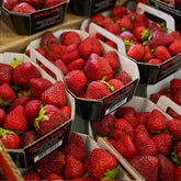 Fraise de Carpentras