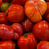 Tomate Cœur de bœuf Rouge 🍅