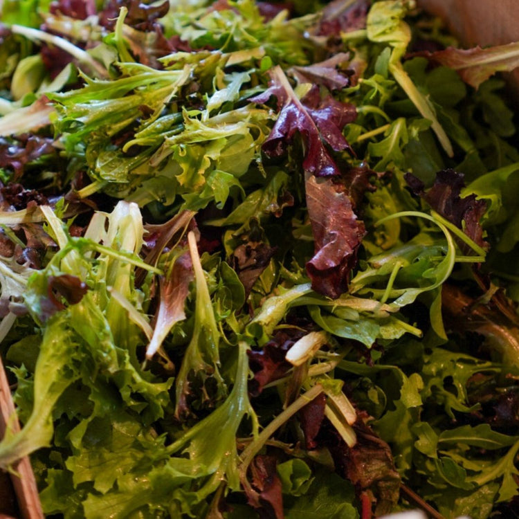 Salade Mélangé (Mesclun)