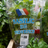 Pot de Basilic (Herbe)