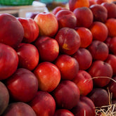 Nectarine Jaune