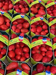 250 Gr De Fraise Gariguette d sud ouest