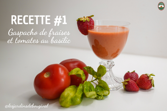 GASPACHO DE FRAISES ET TOMATES AU BASILIC