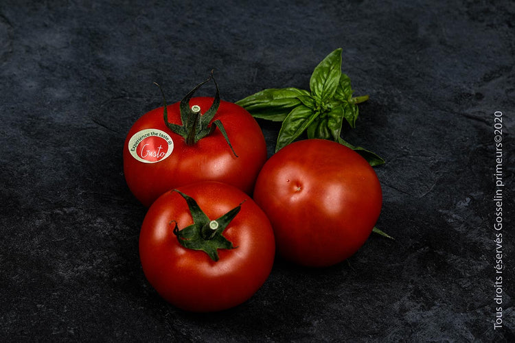 Tomate Gusto