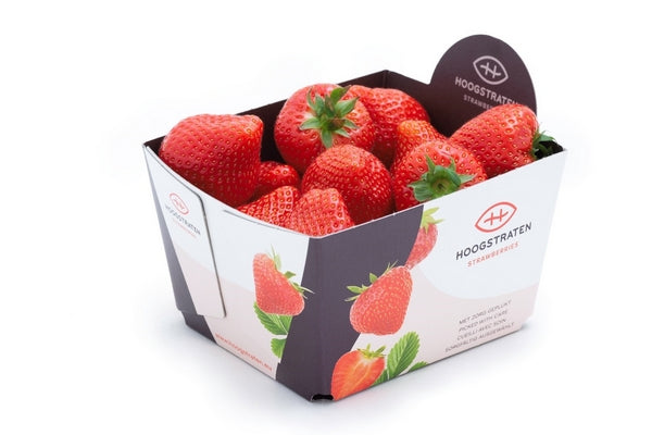 Fraise Belge