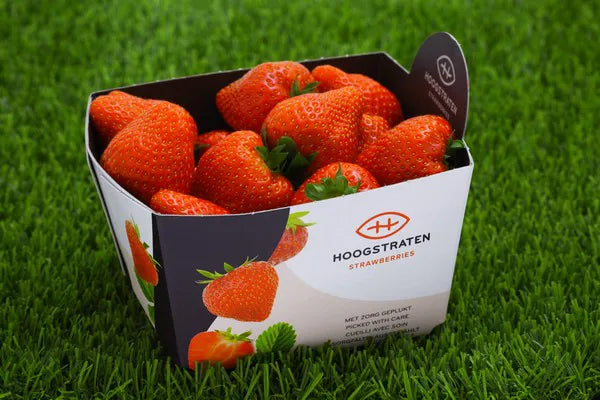 Fraise Belge