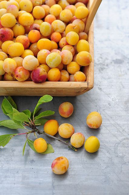 Prune Mirabelle française