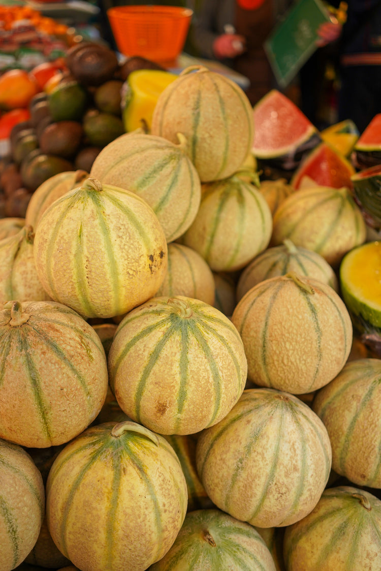 Melon Charentais D' Espagne