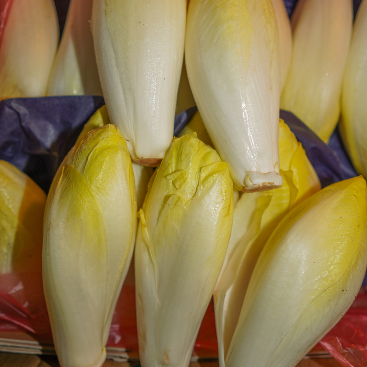 Endive